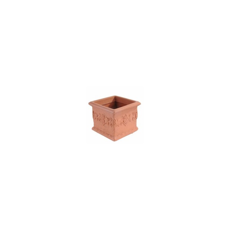 VASO UVA QUADRO COCCIO 35 HOBBY & STYLE VASO UVA QUADRO COCCIO 35 HOBBY & STYLE