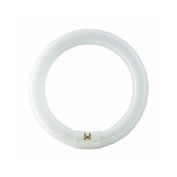 LAMPADA FLUORESCENTE CW FC16 W40 CIRCOLARE LEUCI