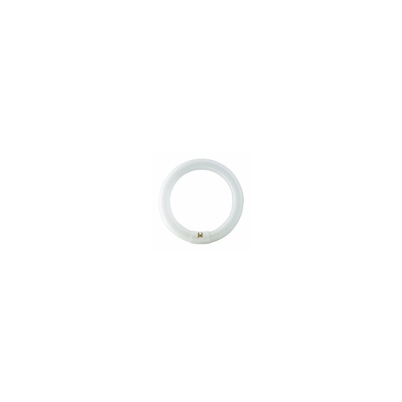 LAMPADA FLUORESCENTE CW FC16 W40 CIRCOLARE LEUCI