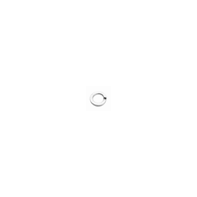 RONDELLA GROWER M 12 INOX Pz.10 DIN127 GEMAC RONDELLA GROWER M 12 INOX Pz.10 DIN127 GEMAC