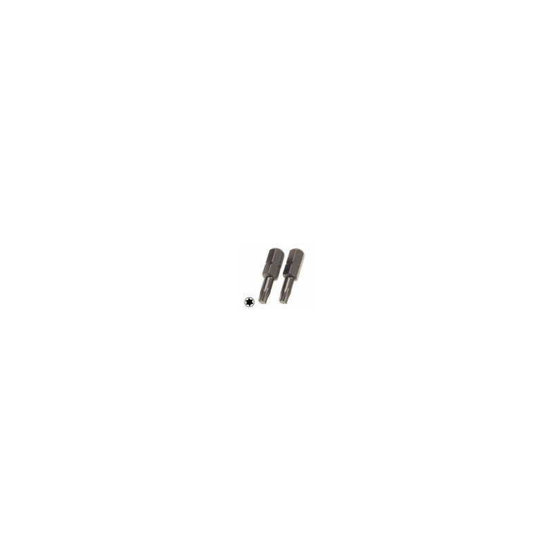 INSERTO mm 25 TX 10 Pz.2 452.40 PG INSERTO mm 25 TX 10 Pz.2 452.40 PG