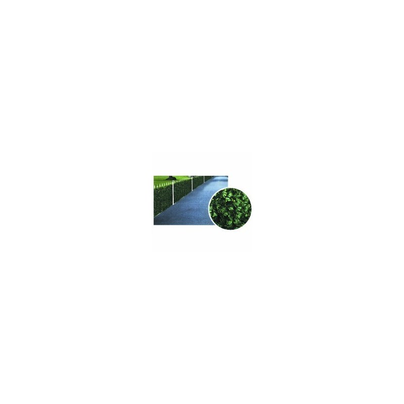 HAIE HEDERA h 100 m 20 ILCAMPO 06231 HAIE HEDERA h 100 m 20 ILCAMPO 06231