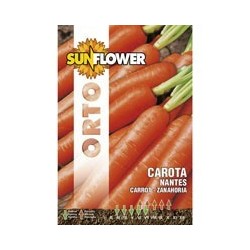 SEMENTI CAROTA NANTES 2 SUNFLOWER