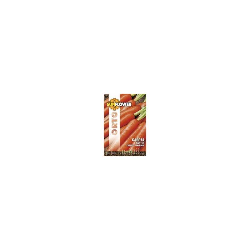 SEMENTI CAROTA NANTES 2 SUNFLOWER SEMENTI CAROTA NANTES 2 SUNFLOWER