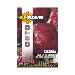 SEMENTI CICORIA ROSSA DI VERONA SUNFLOWER