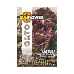 SEMENTI LATTUGA QUATTRO STAGIONI SUNFLOWER