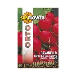 SEMENTI RAVANELLO RAPID RED SUNFLOWER