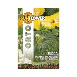 SEMENTI ZUCCA MARINA DI CHIOGGIA SUNFLOWER