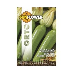 SEMENTI ZUCCHINO GENOVESE SUNFLOWER