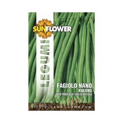 SEMENTI FAGIOLINO NANO BALONG SUNFLOWER