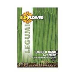 SEMENTI FAGIOLINO NANO LA VICTOIRE SUNFLOWER