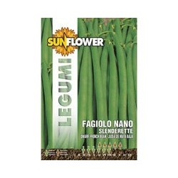 SEMENTI FAGIOLINO NANO SLENDERETTE SUNFLOWER