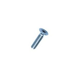 VITE BRUGOLA TP 5x 40 INOX A2-304 DIN7991-UNI5933