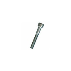 VITE BRUGOLA TC 3x 35 INOX A2-304 DIN912-UNI5931