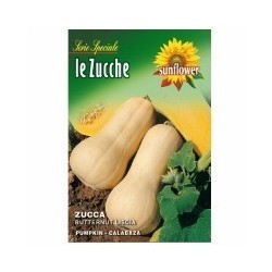 SEMENTI ZUCCA BUTTERNUT LISCIA SUNFLOWER