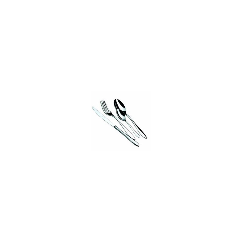 COLTELLO FRUTTA ACC. 18/10 Pz.12 GALILEO SALVI COLTELLO FRUTTA ACC. 18/10 Pz.12 GALILEO SALVI