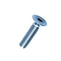 VITE BRUGOLA TP 3x 10 INOX A2-304 DIN7991-UNI5933