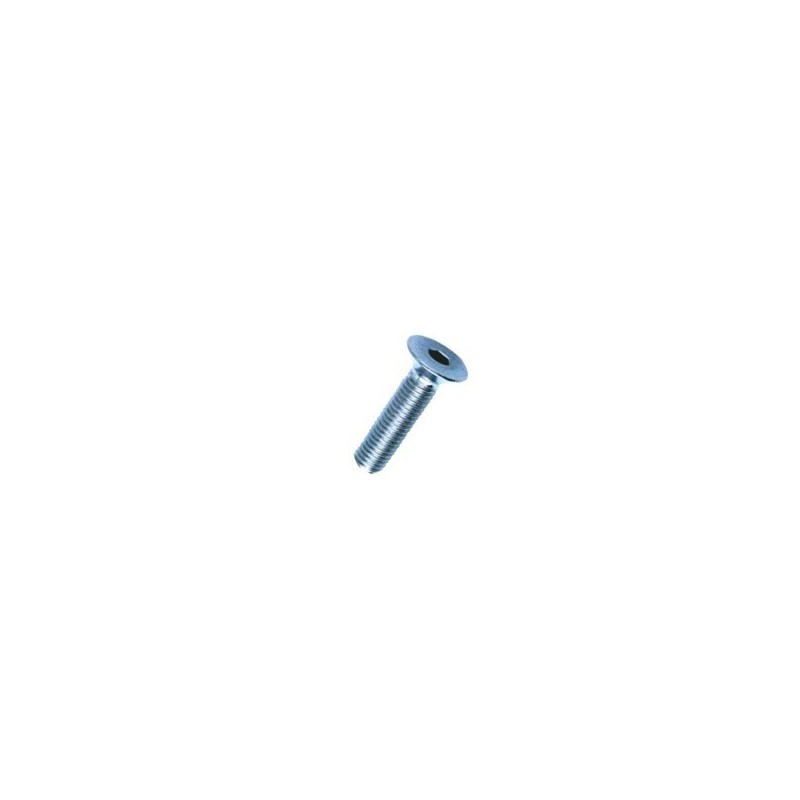 VITE BRUGOLA TP 10x 20 INOX A2-304 DIN7991-UNI5933 VITE BRUGOLA TP 10x 20 INOX A2-304 DIN7991-UNI5933
