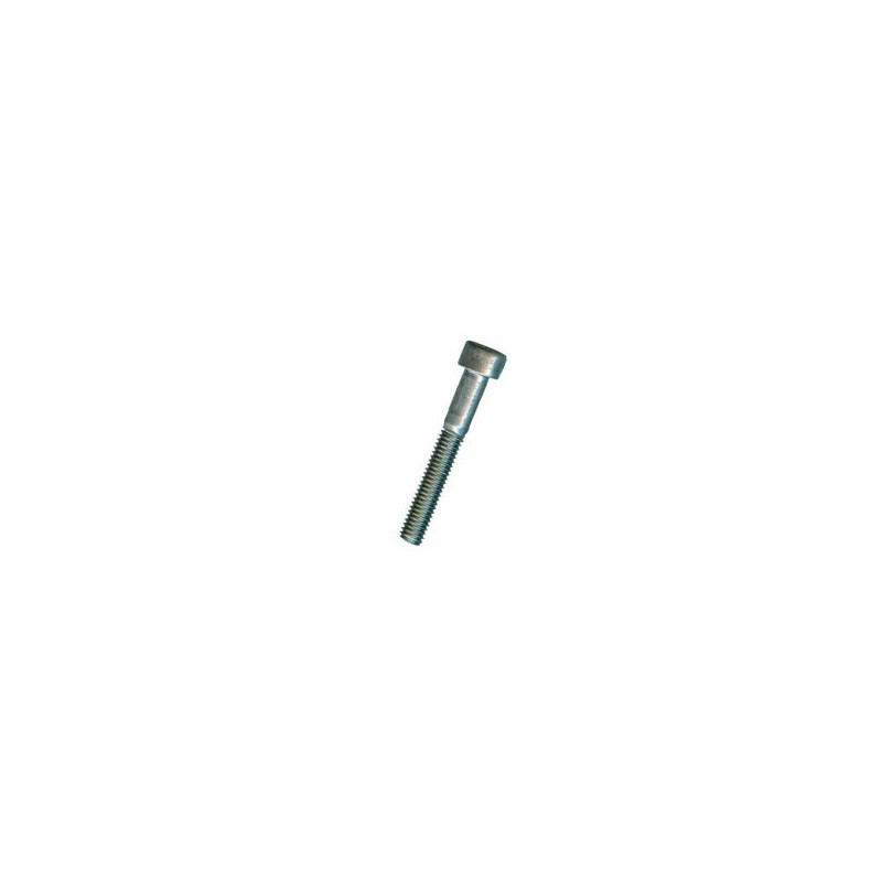 VITE BRUGOLA TC 6x 40 INOX A2-304 DIN912-UNI5931 VITE BRUGOLA TC 6x 40 INOX A2-304 DIN912-UNI5931