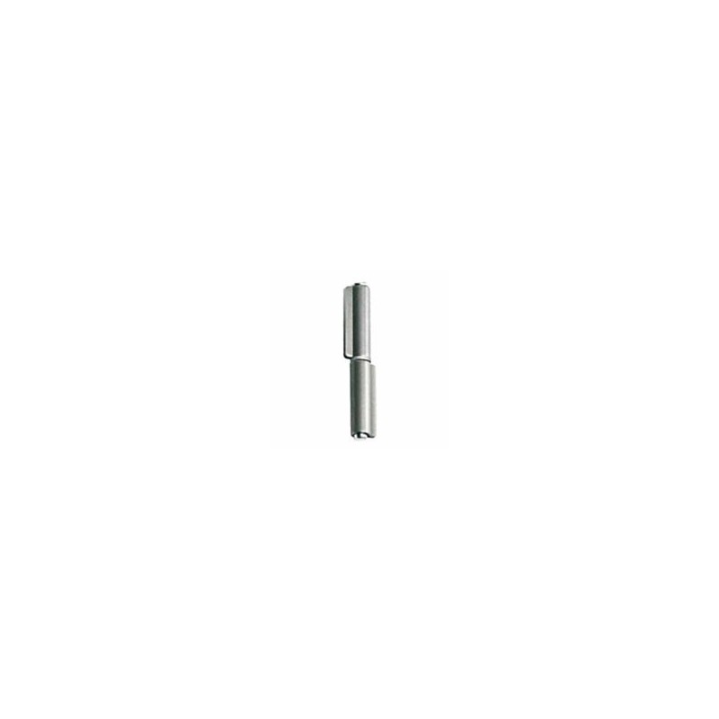 CERNIERA 2 ALI SALDARE 100x17 Pz.2 402 FC GEMAC CERNIERA 2 ALI SALDARE 100x17 Pz.2 402 FC GEMAC