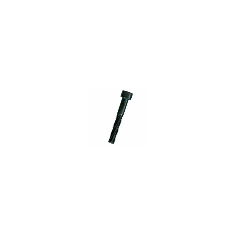 VITE BRUGOLA TC 8.8 8x100 DIN912-UNI5931 VITE BRUGOLA TC 8.8 8x100 DIN912-UNI5931