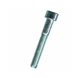 VITE BRUGOLA TC 8.8 12x 45 ZN DIN912-UNI5931