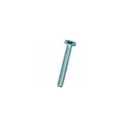 BULLONE TE 8.8 20x100 TF ZN DIN933-UNI5739