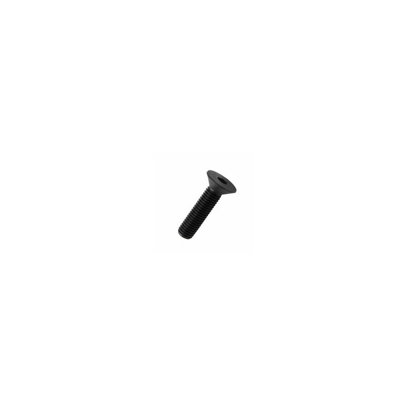 VITE BRUGOLA TP 10.9 6x 16 DIN7991-UNI5933 VITE BRUGOLA TP 10.9 6x 16 DIN7991-UNI5933