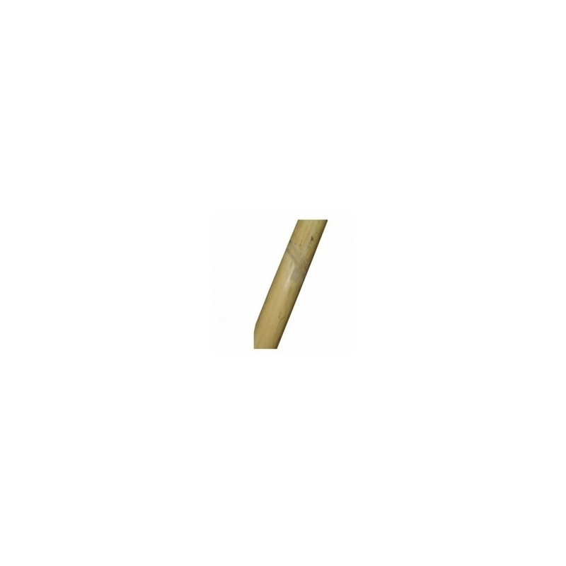 CANNE BAMBOU mm 18/22 h 150 CANNE BAMBOU mm 18/22 h 150