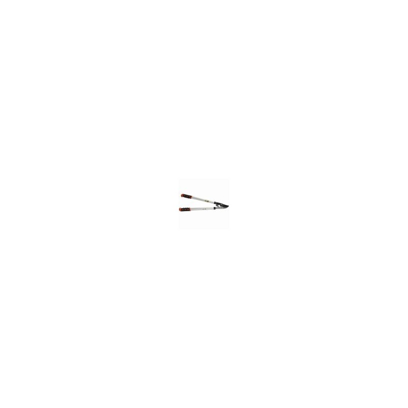 TAGLIARAMI LAME PASSANTI ALL EST ILCAMPO 01123 TAGLIARAMI LAME PASSANTI ALL EST ILCAMPO 01123